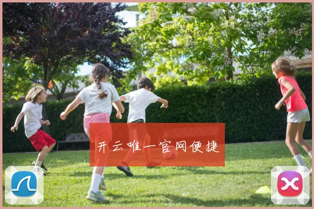 开云唯一官网便捷