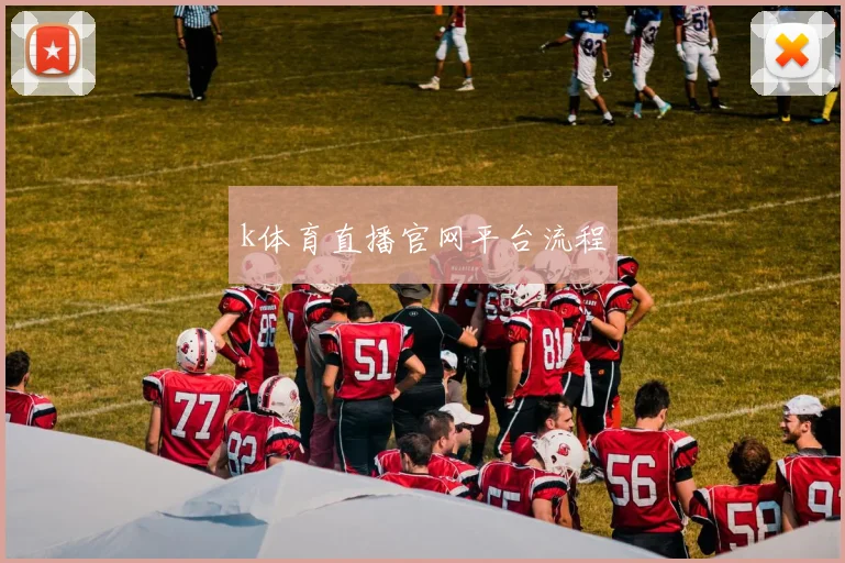 k体育直播官网平台流程