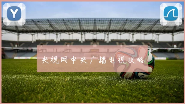 央视网中央广播电视攻略
