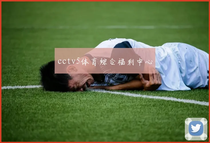cctv5体育综合福利中心