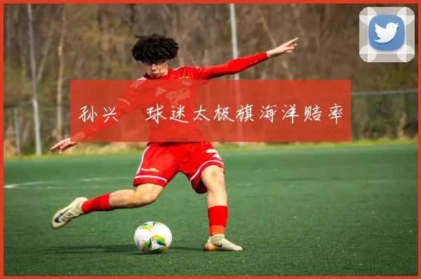 孙兴慜球迷太极旗海洋赔率