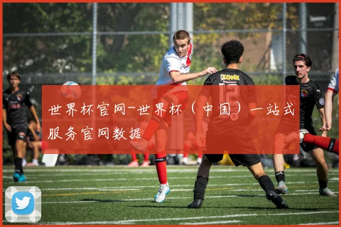 世界杯官网-世界杯（中国）一站式服务官网数据