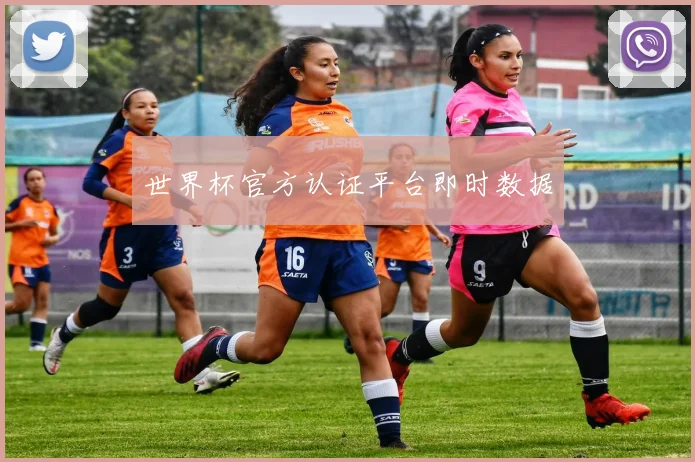 世界杯官方认证平台即时数据