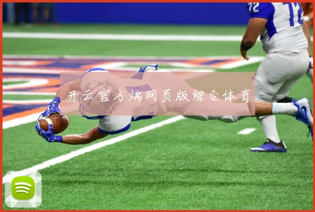 开云官方端网页版综合体育