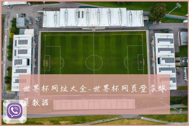 世界杯网址大全_世界杯网页登录球员数据