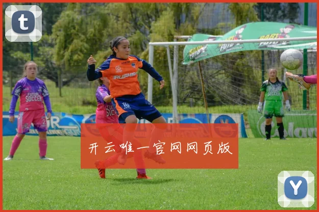 开云唯一官网网页版