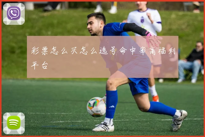 彩票怎么买怎么选号命中率高福利平台