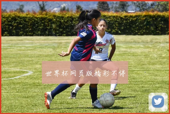 世界杯网页版精彩不停