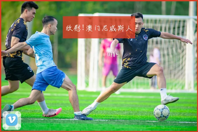 欣慰!澳门尼威斯人