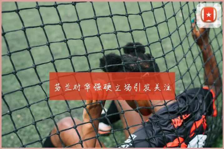 芬兰对华强硬立场引发关注
