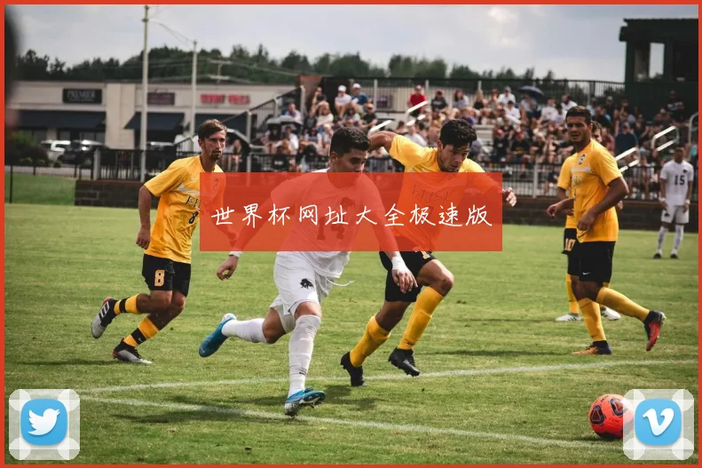 世界杯网址大全极速版