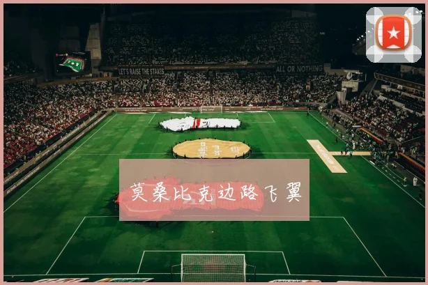莫桑比克边路飞翼