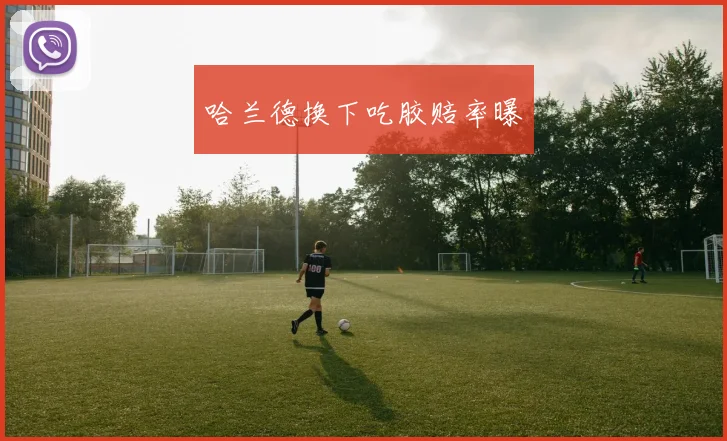 哈兰德换下吃胶赔率曝