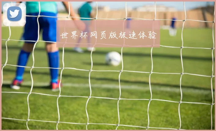 世界杯网页版极速体验