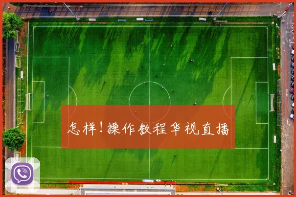 怎样!操作教程华视直播