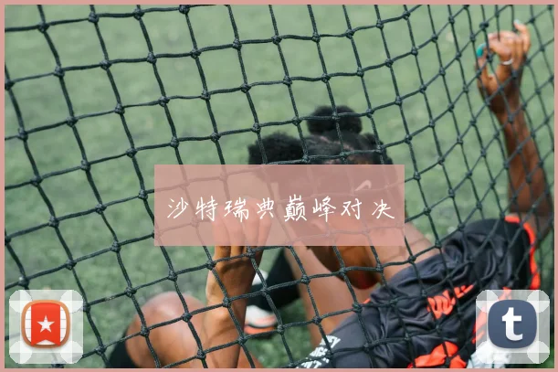 沙特瑞典巅峰对决
