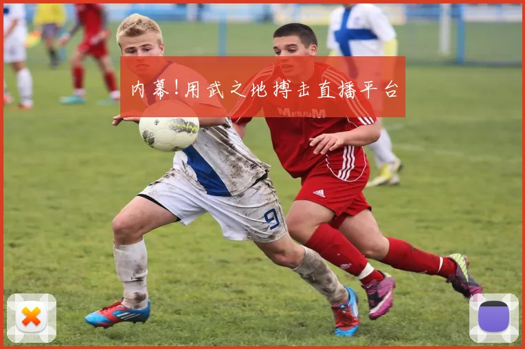 内幕!用武之地搏击直播平台
