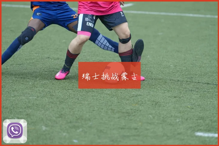 瑞士挑战蒙古