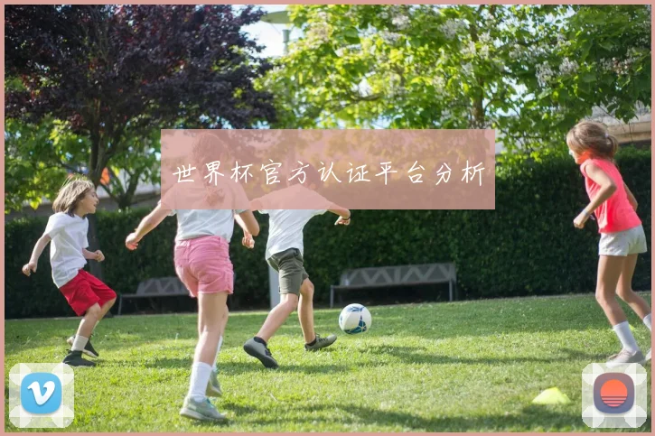世界杯官方认证平台分析