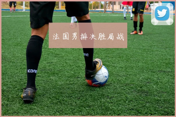 法国男排决胜局战