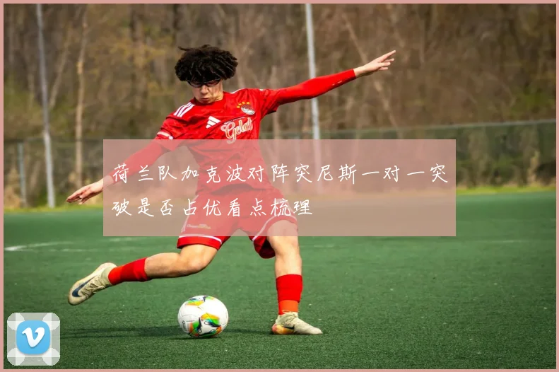 荷兰队加克波对阵突尼斯一对一突破是否占优看点梳理