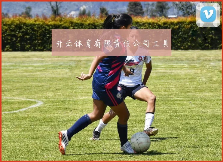 开云体育有限责任公司工具