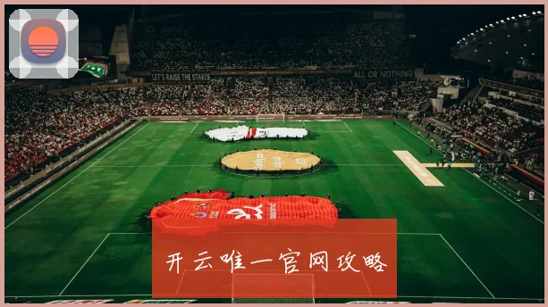 开云唯一官网攻略