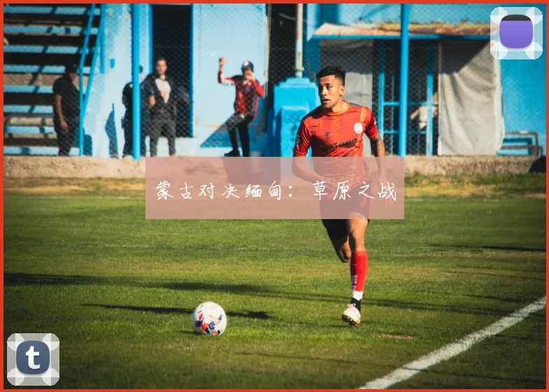 蒙古对决缅甸：草原之战