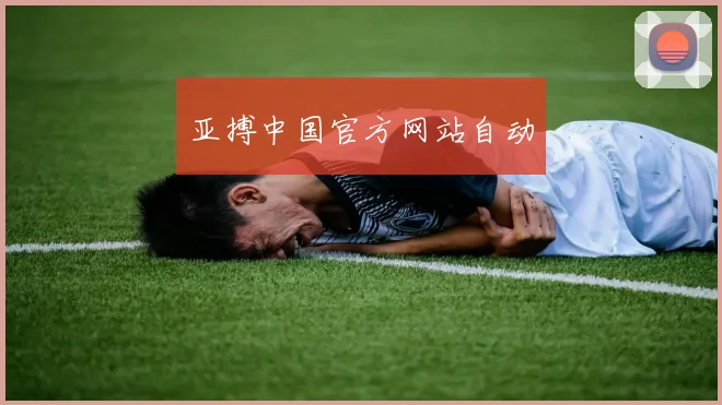 亚搏中国官方网站自动