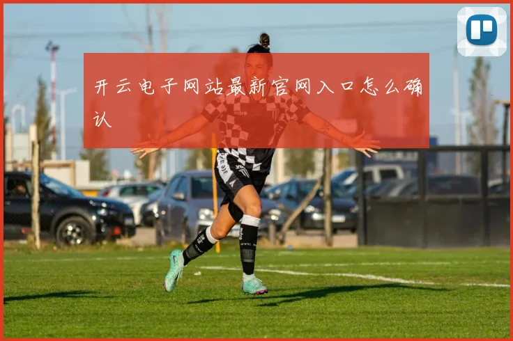 开云电子网站最新官网入口怎么确认