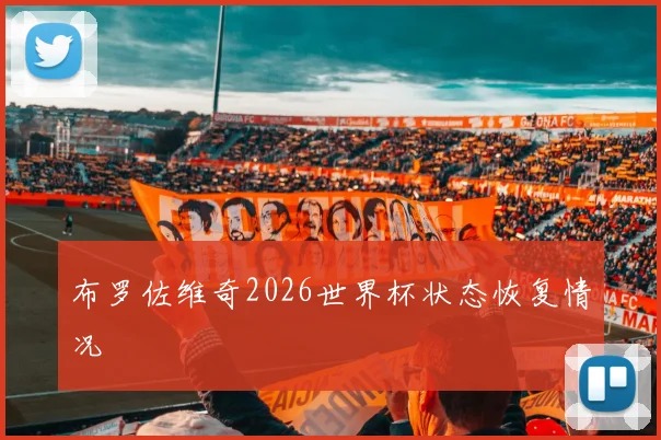 布罗佐维奇2026世界杯状态恢复情况