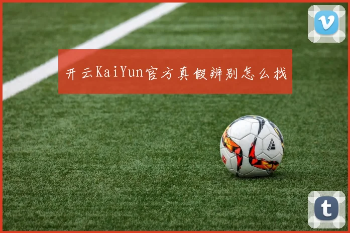开云KaiYun官方真假辨别怎么找