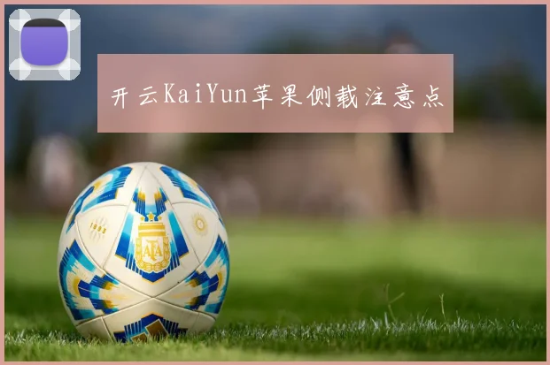 开云KaiYun苹果侧载注意点